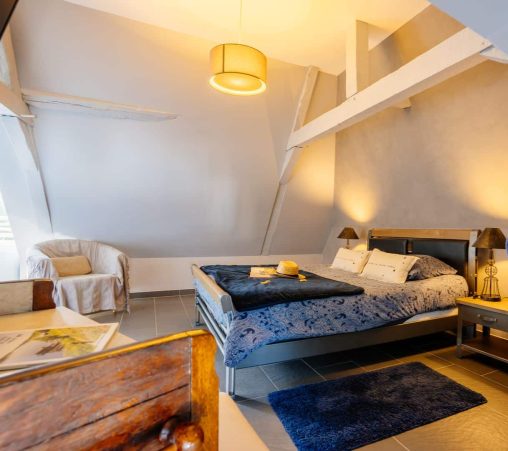 la Forcerie de Chatelelais Anjou (1)